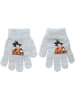 Dragon Ball Z Fingerhandschuhe "Dragon Ball Z" in Hellgrau