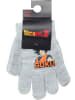 Dragon Ball Z Handschoenen "Dragon Ball Z" lichtgrijs