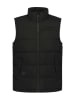 Icepeak Doorgestikte bodywarmer "Adonat" zwart