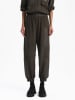 BGN Hose in Khaki