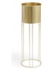 Lifa Living 2er-Set : Pflanzenständer ''Mila'' in Gold