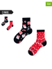 TODO SOCKS 2er-Set: Socken in Dunkelblau/ Rot