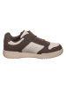 Skechers Sneakers "Quick Street - Classic Avenue" in Braun/ Creme