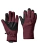 Jack Wolfskin Functionele handschoenen "Alpspitze Merino" rood