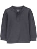 carter's Sweter w kolorze antracytowym
