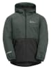 Jack Wolfskin Winterjacke "Snowy Days" in Grün/ Schwarz