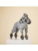 Paikka Recovery-Hundeoverall in Grau