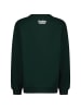 Vingino Sweatshirt in Grün