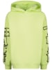 Vingino Hoodie in Grün