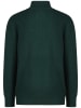 Vingino Pullover in Grün