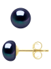 Pearl Addict Perlen-Ohrstecker in Tahiti