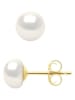 Pearl Addict Perlen-Ohrstecker in Weiß