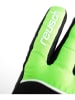 Reusch Functionele handschoenen "Teddy GORE-TEX" zwart/groen
