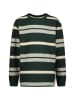 Vingino Trui "Jah" groen/beige
