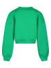 Cars Bluza w kolorze zielonym