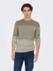 ONLY & SONS Pullover "Panter" in Beige