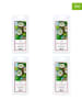 Purple River 4er-Set: Duftwachs "Black Coconut Lime'' - 4x 50 g