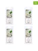 Purple River 4-delige set: geurwas "jasmijne Love'' - 4x 50 g