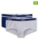 s.Oliver 2er-Set: Pantys in Grau/ Dunkelblau