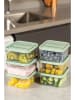 Violeta Home 6er-Set: Frischhaltedosen in Grün - 350 ml