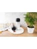Violeta Home Dozowniki (2 szt.) w kolorze czarnym na przyprawy - 245 ml