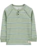 carter's Longsleeve groen