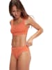 Speedo Bikini in Orange