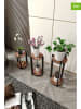 Evila 3-delige set: plantenstandaards bruin/zwart