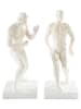 Jotex 2er-Set: Bücherhalter ''Human Push'' in Weiß - (B)16,5 x (H)26,7 x (T)11 cm