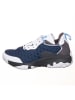 Air Jordan Sneakers "Dust D2" wit/grijs/donkerblauw