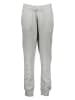 Nike Sportswear Spodnie dresowe "Phoenix" w kolorze szarym