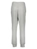 Nike Sweatbroek "Phoenix" grijs