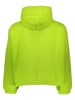 Vans Hoodie groen