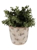 Clayre & Eef Bloempot beige - (H)13 x Ø 12 cm