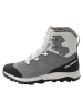 SALOMON Botki turystyczne "Outfrost TS CSWP" w kolorze szarym