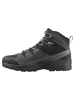 SALOMON Wandelboots "Quest Rove Gore-Tex®" grijs