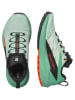 SALOMON Trailrunningschoenen "Salomon X BRAZE MID GORE-TEX" zwart/groen