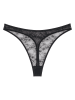 Triumph String "Bright Spotlight" in Schwarz