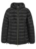 Polo Club Steppjacke in Schwarz