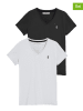 Polo Club 2er-Set: Shirts in Schwarz/ Weiß