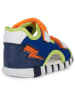 Geox Sandalen "Iupidoo" donkerblauw