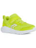 Geox Sneakersy "Sprintye" w kolorze zielonym