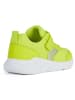 Geox Sneakers "Sprintye" groen