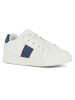 Geox Sneakers "Eclyper" in Creme