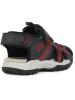 Geox Halbsandalen "Borealis" in Anthrazit