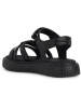 Geox Sandalen "Kodette" in Schwarz