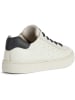 Geox Sneakers "Nashik" in Creme