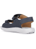 Geox Leren sandalen "Lightfloppy" antraciet