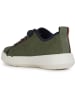 Geox Sneakers "Hyroo" in Khaki