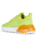 Geox Sneakersy "Activart" w kolorze zielonym